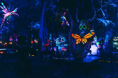 Immerse Yourself in Suwannee Hulaween's 10th Annual Festival With Our ...