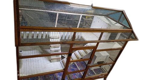 Cat Cage At Rs 18500 Piece Cat Cage In Chennai ID 25836431488