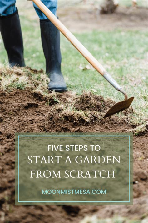 Five Steps To Start A Garden From Scratch Moon Mist Mesa