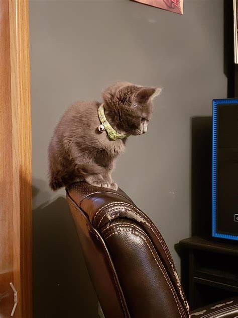 Gorgeous Pussy On Tumblr