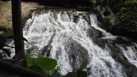 Premium Photo | Beautiful tropical waterfall bali indonesia