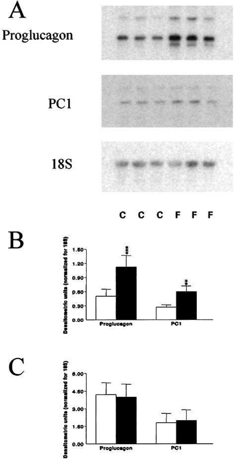 Figure 1 From Coregulation Of Glucagon Like Peptide 1 Synthesis With