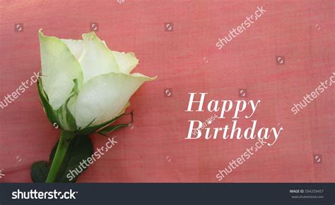 Congratulations Happy Birthday White Roses On Stock Photo 594259457 ...