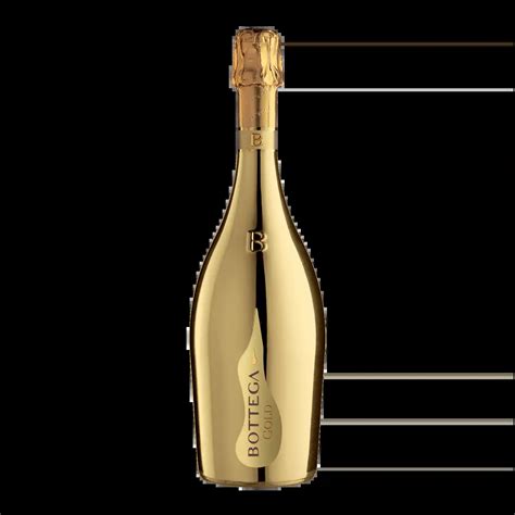 Bottega Gold Prosecco Spumante DOC Brut 2 Bottles Italy Worldshop