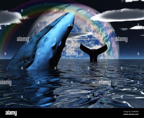 Whale in ocean Stock Photo - Alamy