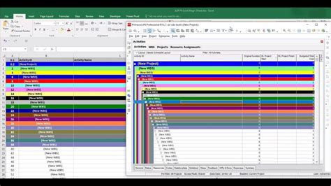 How To Color Primavera P6 Wbs Levels Automatically In Excel P6 Wbs Color Format In Excel