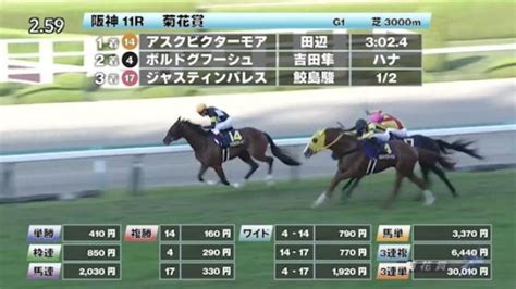 【1023 菊花賞ほか】阪神ダイジェストjraレース結果 競馬動画 Netkeiba