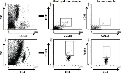 Representative Flow Cytometry Showing Labelling And Gating Strategies