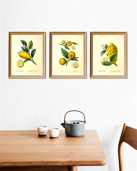 Lemon Prints Set Of 3 Citrus Prints Lemon Wall Art Vintage Etsy