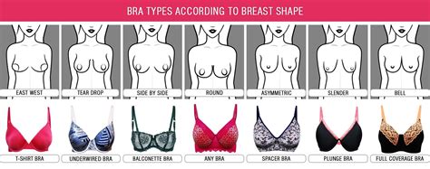 Determine The Type Of Bra According To The Body Types Perfect Bra Bra Types Online Bra Shopping