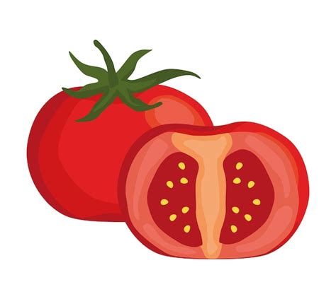 Dise O Aislado Del Icono De Vegetales Frescos De Tomate Vector Gratis