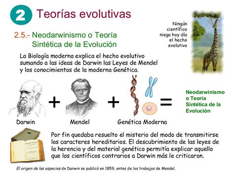 Presentación Tema 5 Evolución I