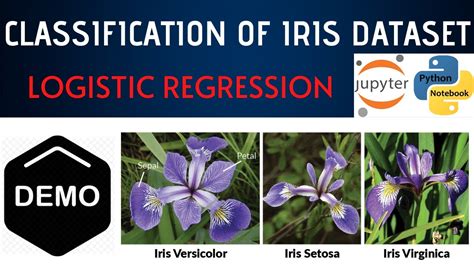 Example Of Machine Learning Classification Technique On Iris Dataset