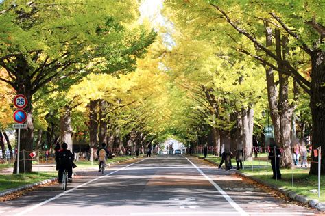 【2021年】札幌の秋！車なしで行けるおすすめ紅葉スポット｜気温や服装も紹介 北海道life