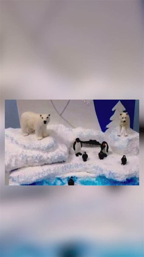 Maqueta Clima Polar Artic Ecosystem Idea Ecosystem Childcare