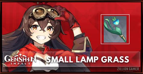 Small Lamp Grass Location Updated | Genshin Impact - zilliongamer