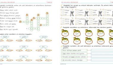 Z T Anlaml Kelimeler S N F Etkinlikleri E Anlaml Kelimeler