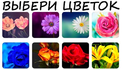 Доверься интуиции! Выбери цветок и узнай, когда сбудется твое желание ...