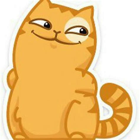 Котик персик - картинки и фото koshka.top