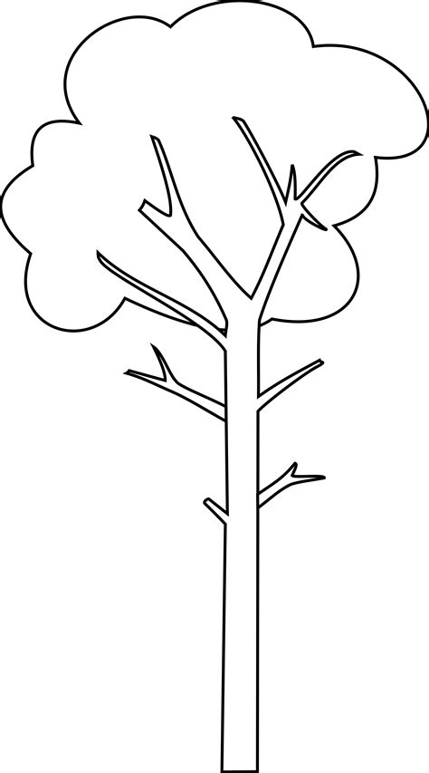 Tall And Short Tree Cartoon