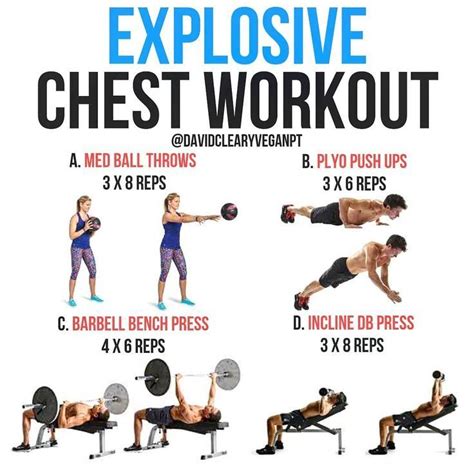 Do You Want To Learn How Beginners Or Pros Can Build A Massive Chest