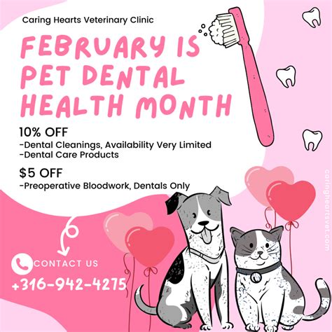 Dental Month Is Here Veterinarians In Wichita KS Caring Hearts