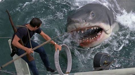 Netflix Crew Attacked By Sharks