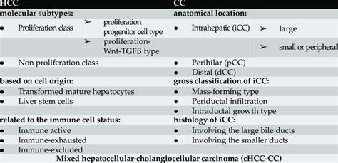 Schematic Classification Of Hepatocellular Carcinoma And Download Scientific Diagram