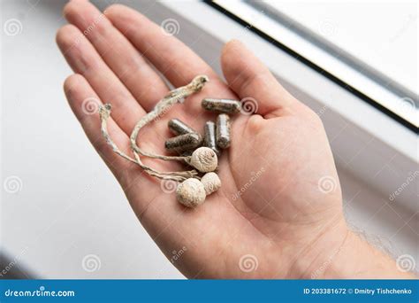 Psychedelic Microdosing Magic Shroom Stock Photo Image Of Mycology