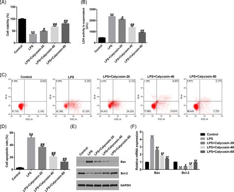 Effects Of Ca On The Apoptosis In Lipopolysaccharide Lps Induced L