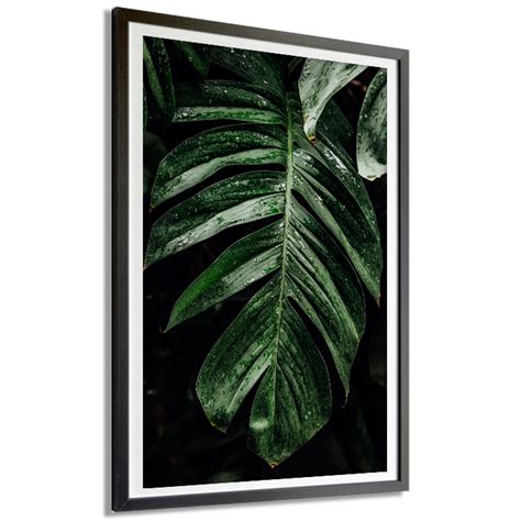 PLAKAT DEKORACYJNY 91x61cm MONSTERA NATURA Wzory Plakat Natura Różne