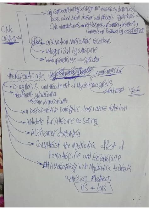 SOLUTION Pharmacology 2 Studypool