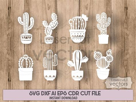 Cactus Svg Succulent Svg Succulent Clip Art Cactus Bundle Cacti Svg