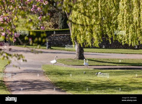 Colchester Essex England Uk Local Area Photography Stock Photo Alamy