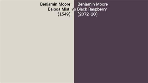 Benjamin Moore Balboa Mist Vs Black Raspberry Side By Side Comparison