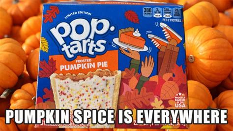 Enjoy Fall With These Funny Pumpkin Spice Memes