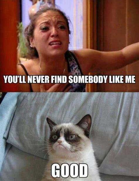 The 21 Best Grumpy Cat Memes And Quotes About Love And Life Artofit