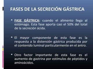 Secreción salival y gástrica 2013 PPT