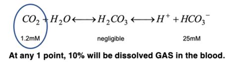 B2 Gas Transport Carbon Dioxide Flashcards Quizlet