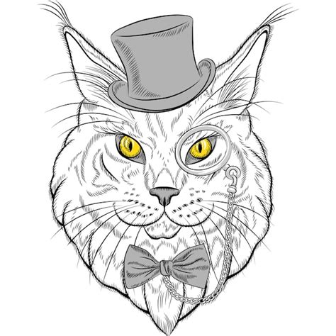 Retrato De Primer Plano De Boceto De Hipster Divertido Gato Maine Coon