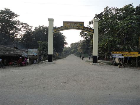 Bardiya National Park Mypridenepalcom My Country My Pride