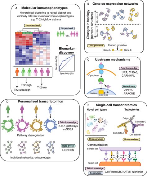 An overview of applications for transcriptomics to better understand ...