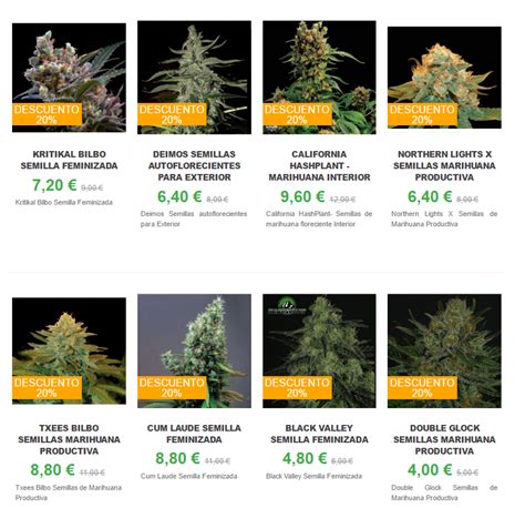 Cannabis Sativa E Indica Características Cultivo Y Efectos Growshop