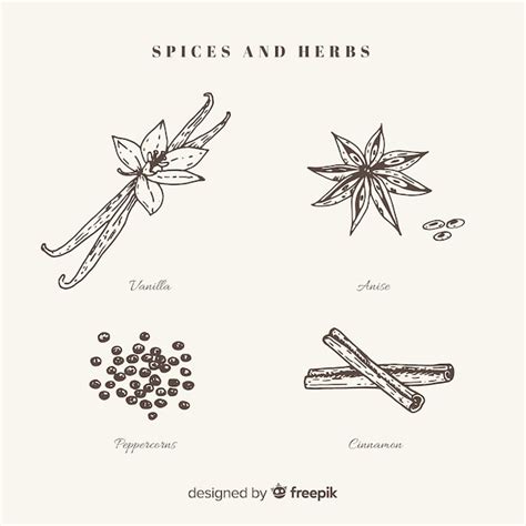 Premium Vector Realistic Hand Drawn Spices And Herbs Sketches Collection