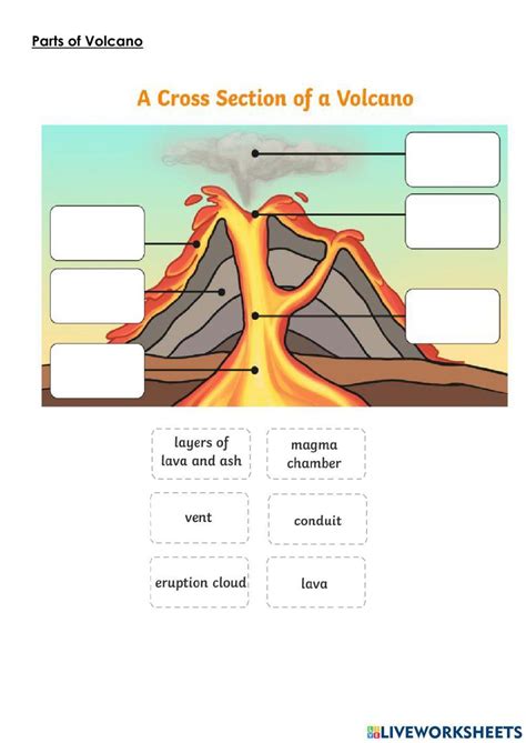 Parts Of A Volcano Activity Live Worksheets Worksheets Library