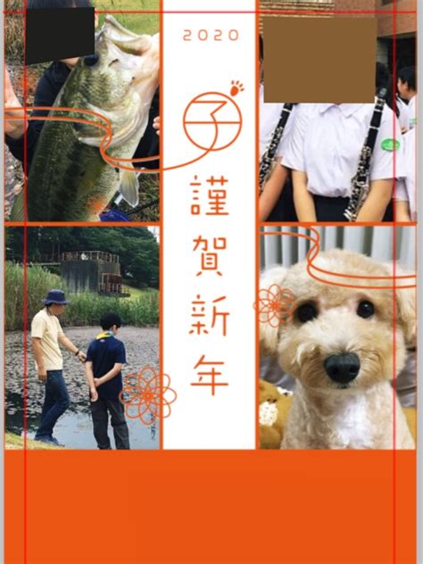 「愛犬「まめ」20 年賀状には一番大きく写った写真を載せました」kaiyougyoのブログ ｜ Kaiyougyoのページ みんカラ