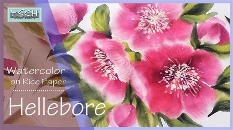 Ricepaperandwatercolourpainting Helleborehow To Paint Watercolor On