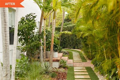 Before and After: A Tropical Backyard With 5 Affordable Ideas to Steal ...