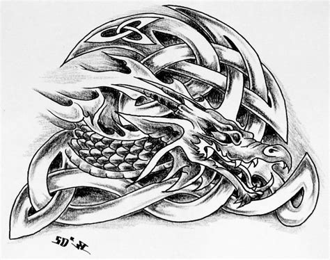 Celtic Dragon Tattoo Designs Pinterest Pinterest Celtic Dragon