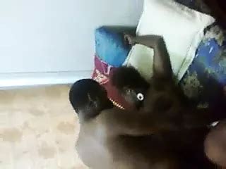 Png Kwap Free SSBBW Png Pornhub Porn Video Ad XHamster